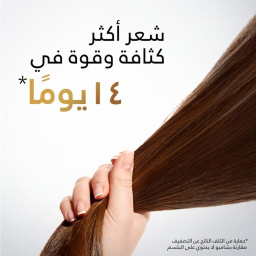 ⁦شامبو بانتين التغذية العميقة لشعر لامع وصحي لا يقاوم⁩ - الصورة ⁦4⁩